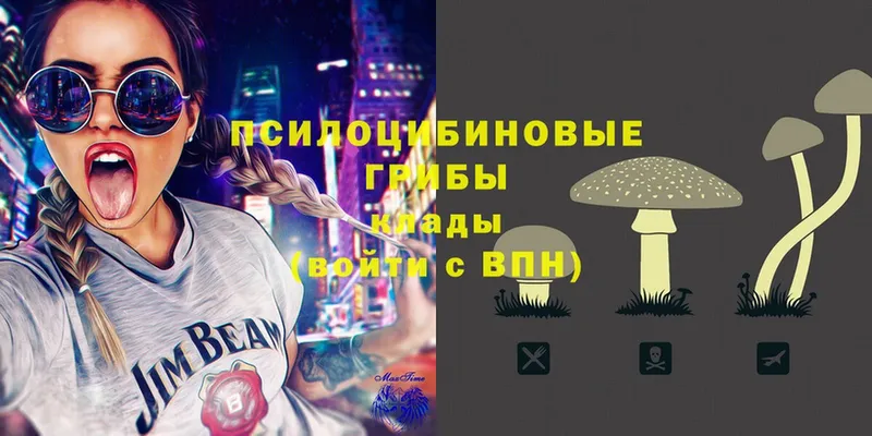 Галлюциногенные грибы Magic Shrooms  Карасук 